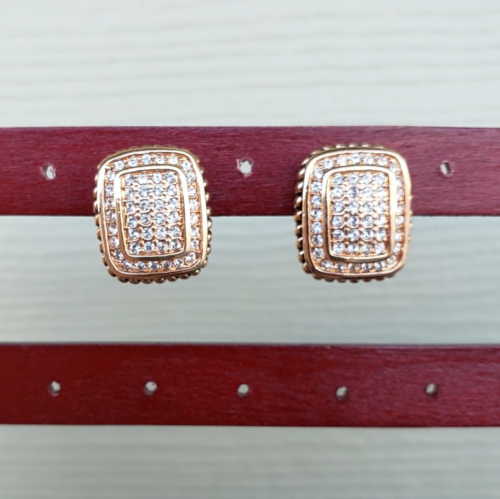 Park Lane Costume Jewelry Earrings in Gold Accents